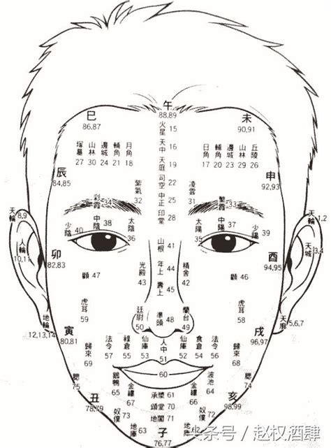 百歲流年圖|1到100歲，面相流年氣運圖教你如何看自己的面相